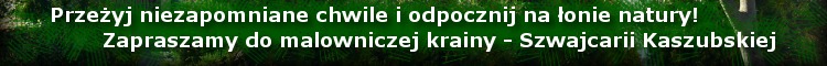opis